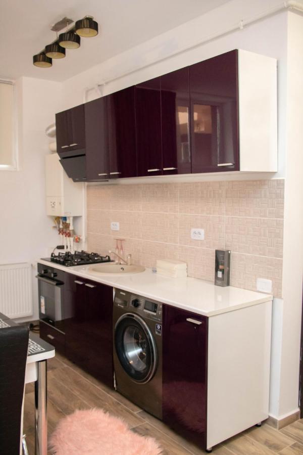 Apartament Capitala Militari Roşu エクステリア 写真